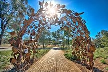 ucdavisarboretum